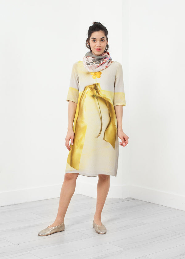 Buttercup Dress - mageplaza100.myshopify.com - Antoni & Alison - [variant_title]